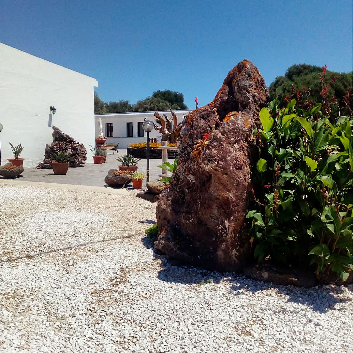 agriturismo vistamare 1