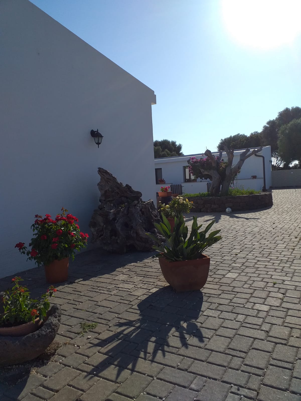 agriturismo vistamare 10