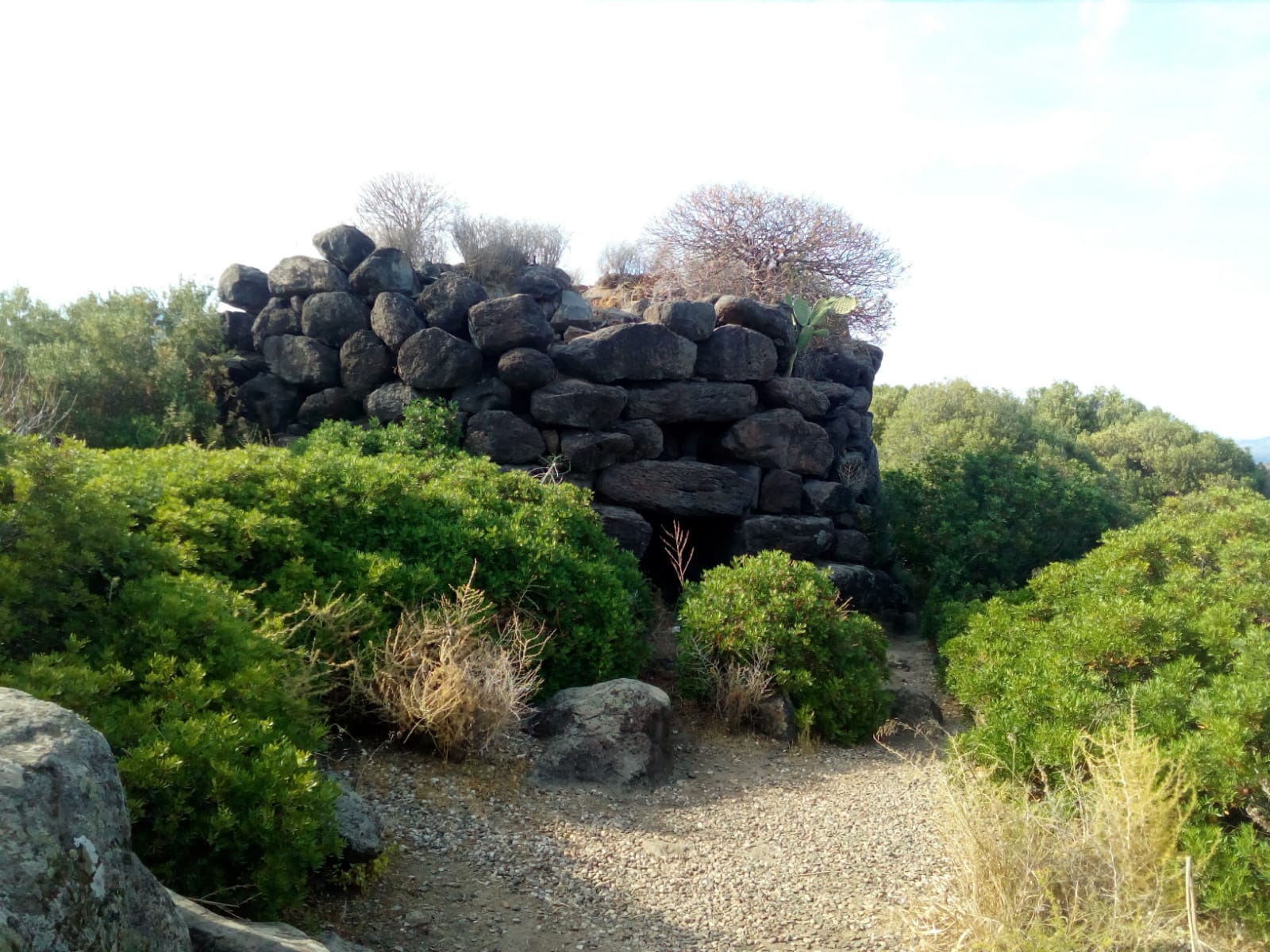 agriturismo vistamare 18