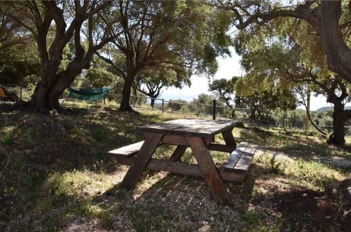 agriturismo vistamare 2