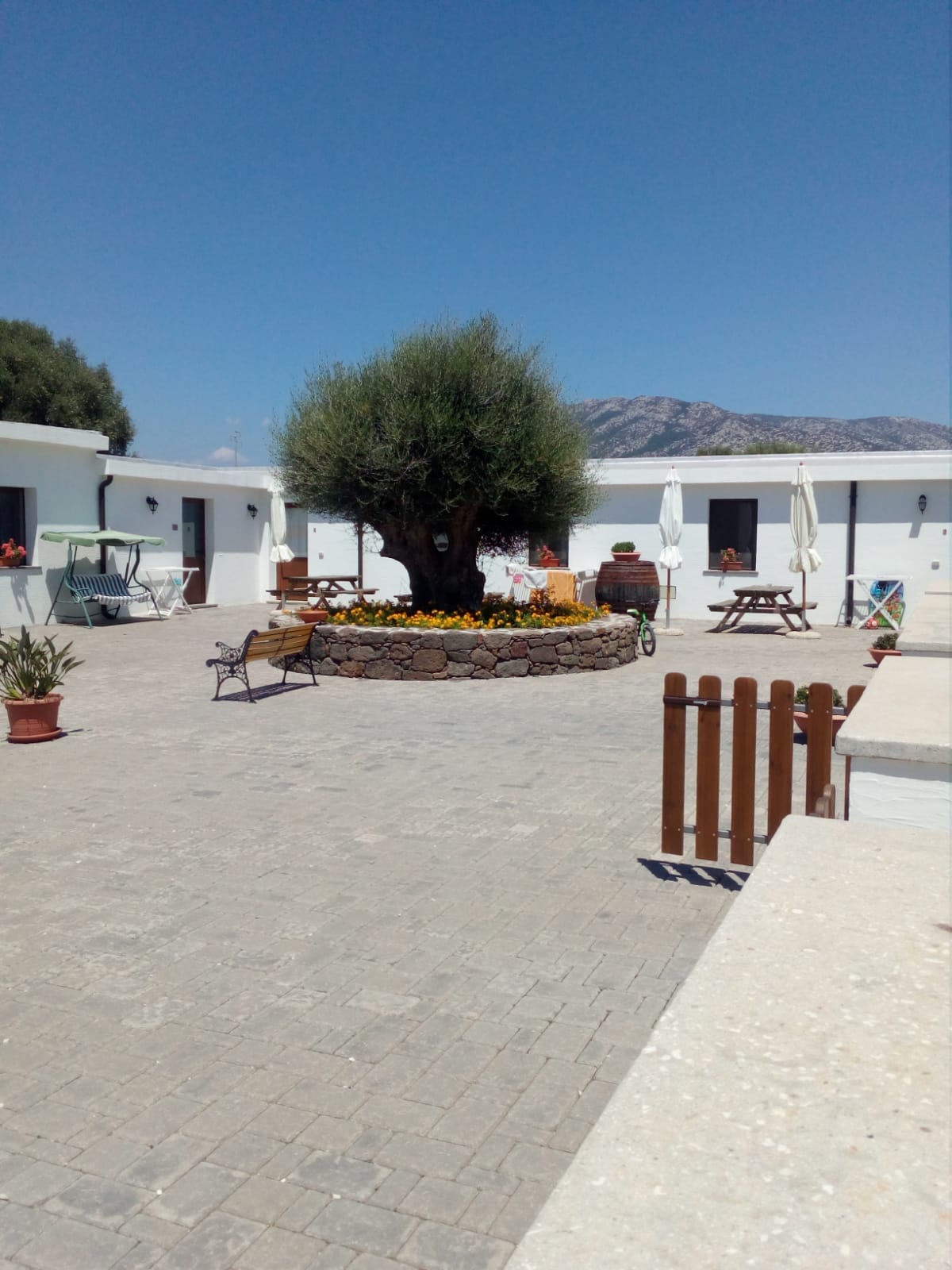 agriturismo vistamare 5